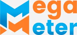 Mega Meter Cleaning Services