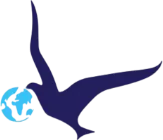 Elite Travel Dubai