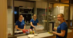 Kastehelmi