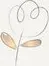 Flor
